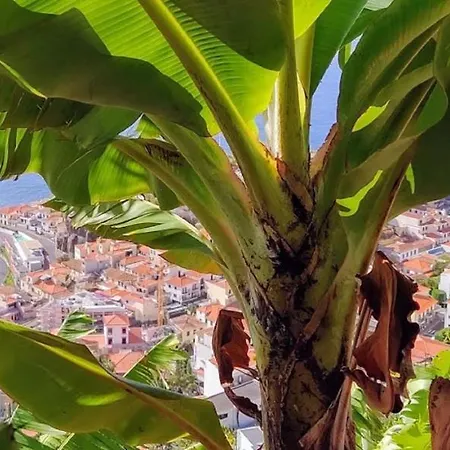 Attic Bay - Cozy With Sea View * Câmara de Lobos