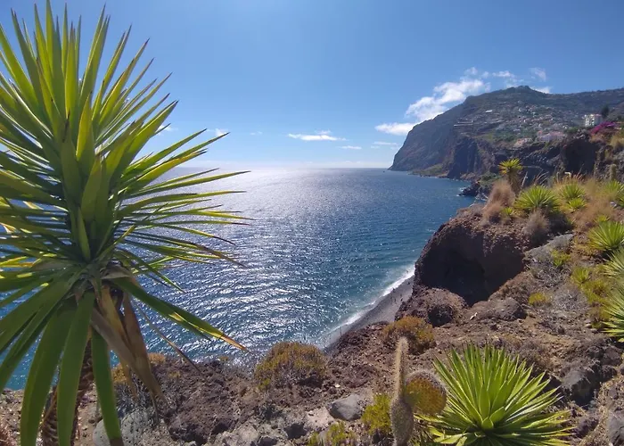 Attic Bay Апартаменты