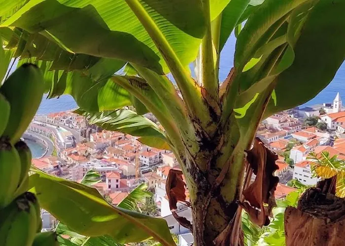 Attic Bay * Камара-де-Лобуш